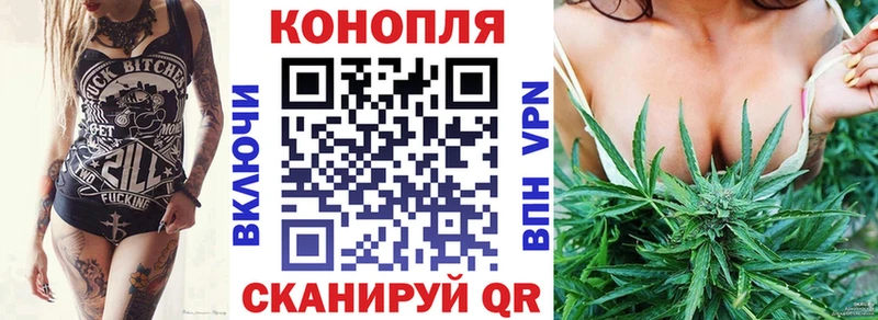 Конопля MAZAR  Купить  Красный Кут 